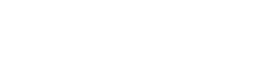 Robyn Uppercase Logo in White