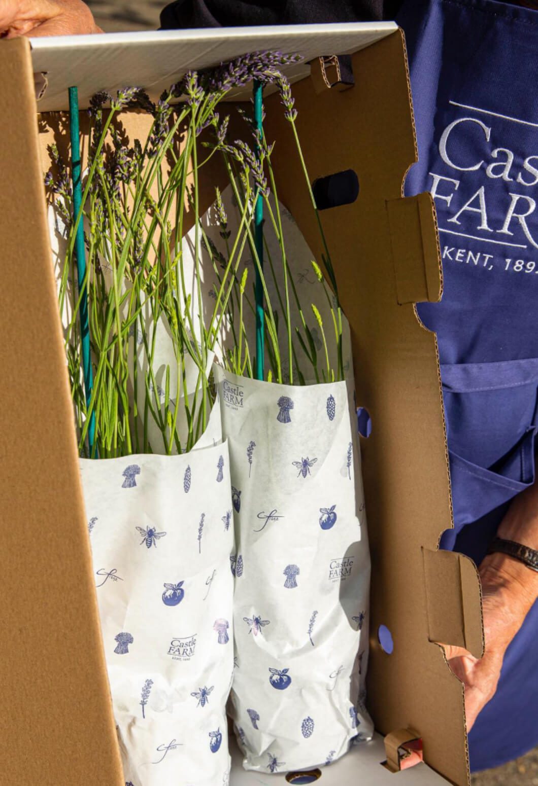 Tissue paper and apron design for castle farm