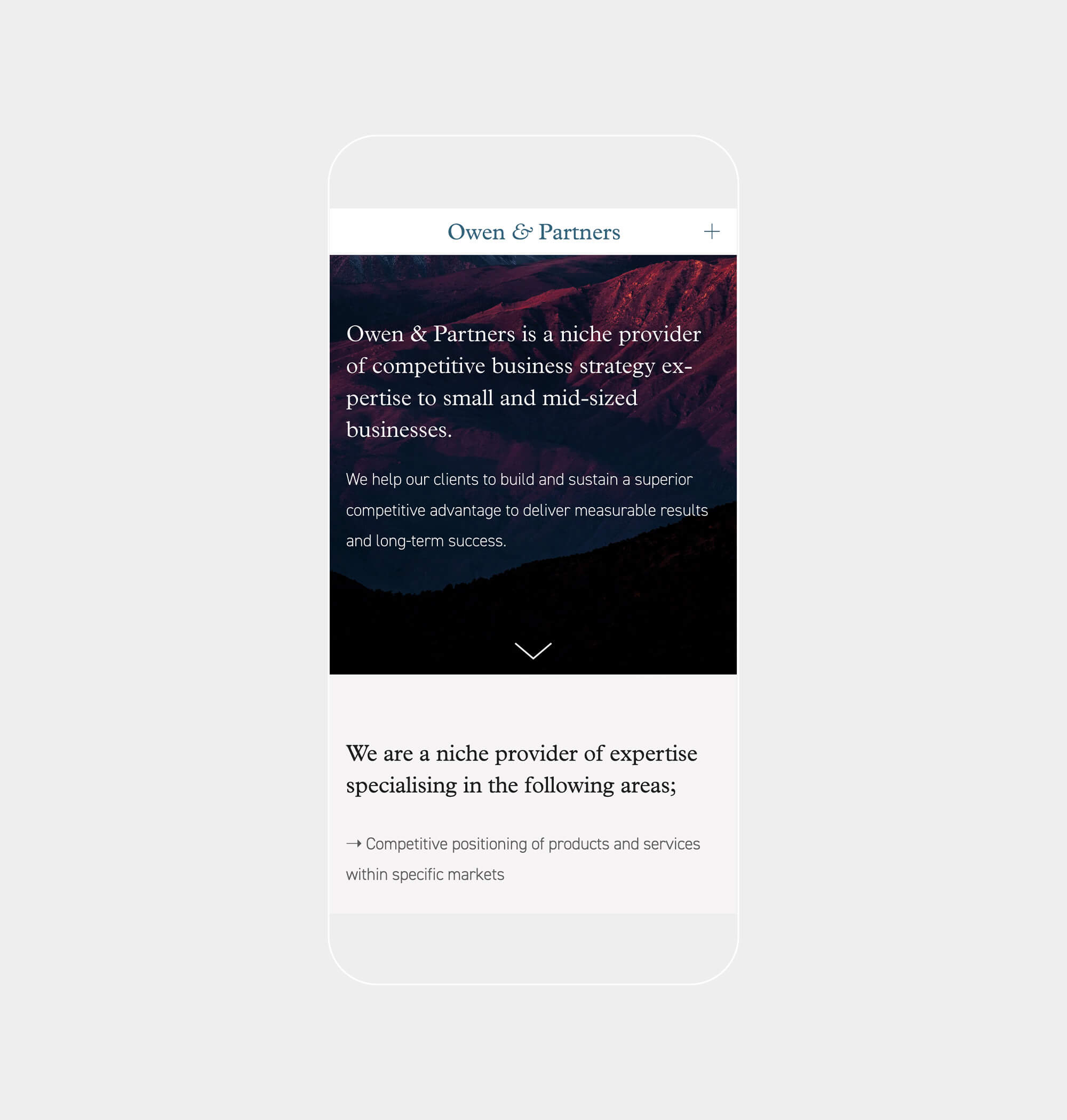 Mobile website design for consultancy company