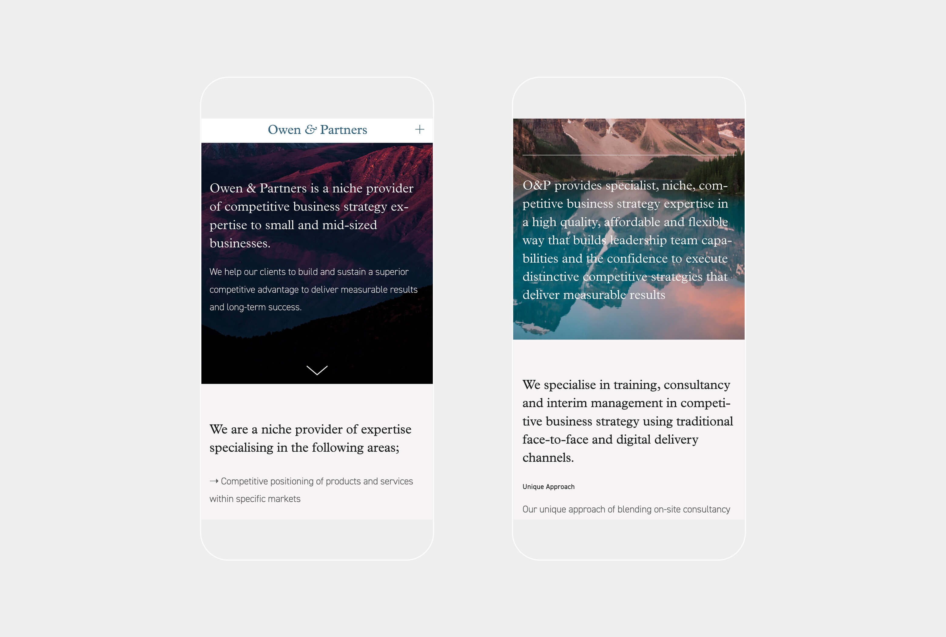responsive website design for professional consultancy firm