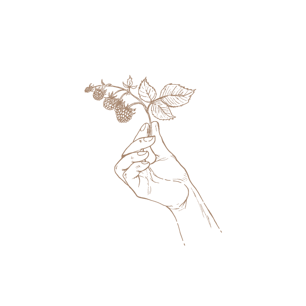 Berry picking illustration for luxury retreat